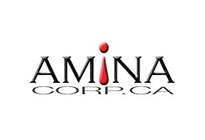 AMINA Corp.